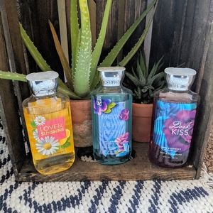 Bath and Body Works Shower Gel